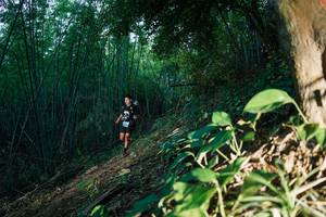 BIB: 
                            <button type="button" onclick="openModal(28123232)" class="btn btn-primary btn-sm float-right btn-popup" data-toggle="modal" data-target=".modal-high-quality">
                        <i class="fas fa-shopping-cart"></i> Add to Cart
                    </button>
                                            <button type="button" onclick="isThisMe(28123232, true)" class="btn btn-success btn-sm float-right btn-popup btn-isme hidden" data-toggle="tooltip" data-placement="bottom" title="นี่คือรูปของคุณใช่ไหม คลิกที่นี่เพื่อเอาเข้าอัลบั้ม">
                        <i class="fas fa-plus"></i> Add to album
                    </button>
                    <button type="button" onclick="isThisMe(28123232, false)" class="btn btn-warning btn-sm float-right btn-popup btn-isnotme hidden">
                        <i class="fas fa-ban"></i> Remove from album
                    </button>